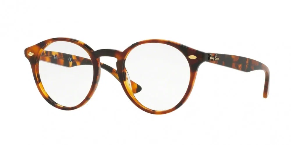 Ray-Ban 2180V Eyeglasses - view 10